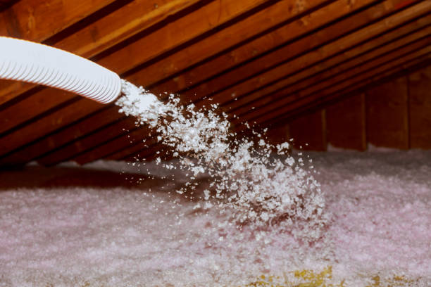Best Insulation Installation Services in Lake Alfred, FL