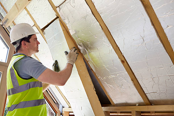 Best Types of Insulation in Lake Alfred, FL